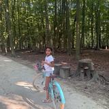 Mayline