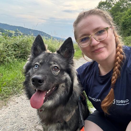 Bären sammeln Kilometer