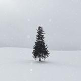 Un Noël qui fait sens
