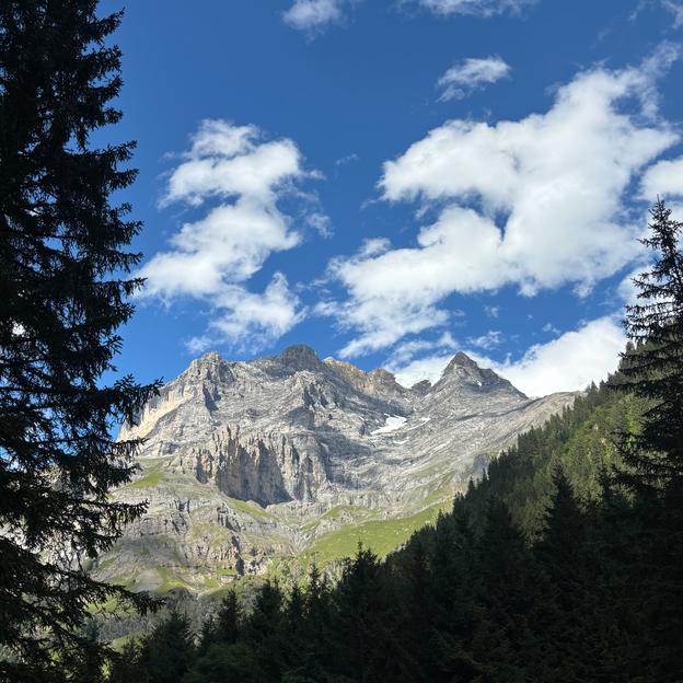 Toujours plus beau
