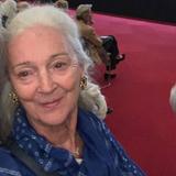 Brigitte Fabri