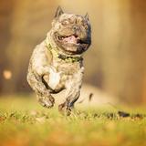 Run to kick!