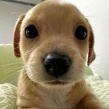 This one is for you