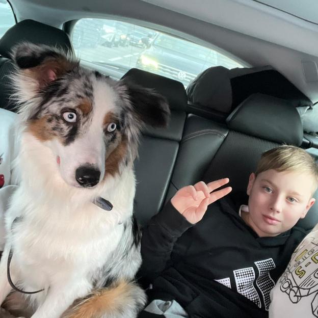 Cousin avec Tintin