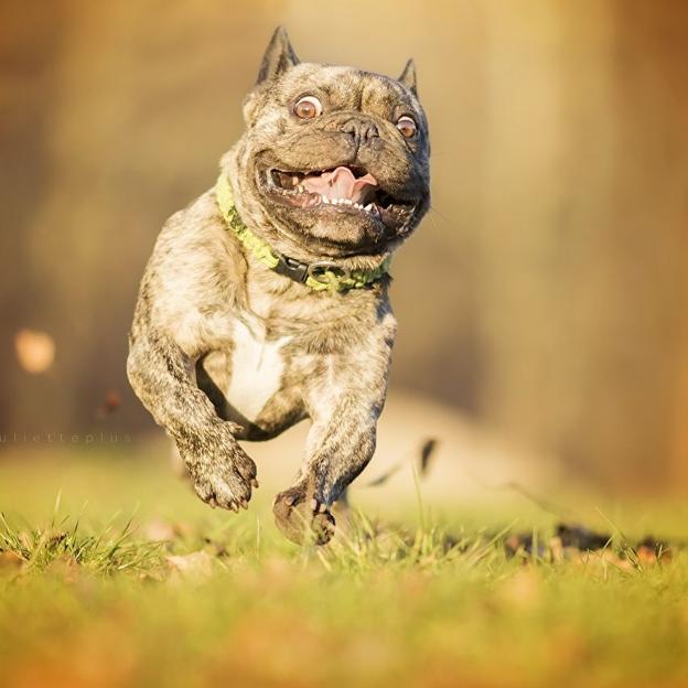 Run to kick!