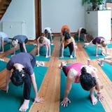 Shanti Home YogiKickers