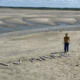 Guillaume voor Warre
