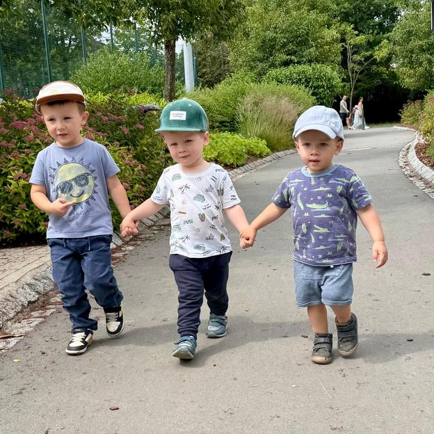 Walk for Louis