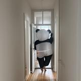 Panda daddy