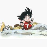 RimRuns