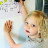 Groseille mini Palmblad