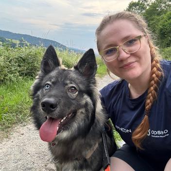 Bären sammeln Kilometer