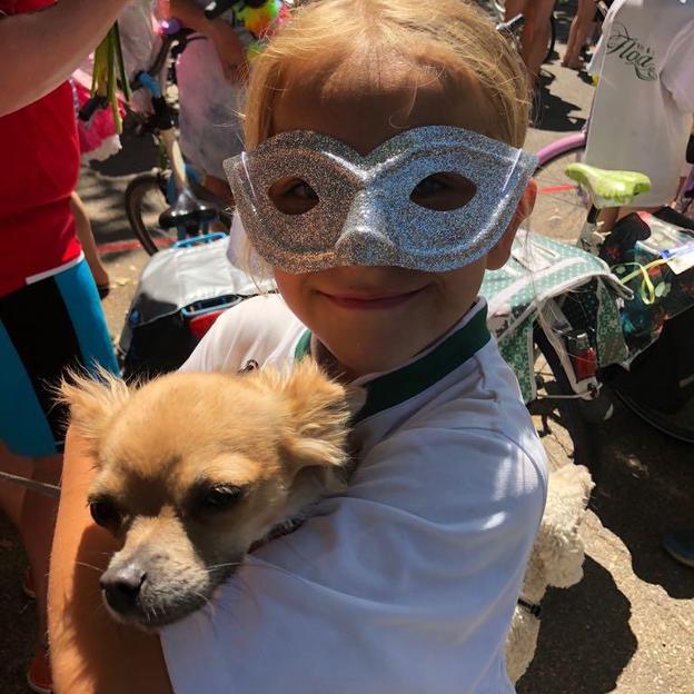 Chihuahua Kicking Cancer