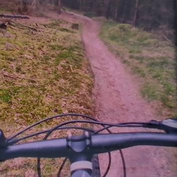 I want to ride my bicycle...