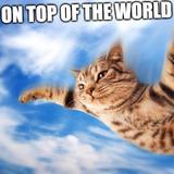 Flying Cat