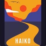 Team KRC - Hanne: voor Haiko en te veel anderen