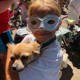 Chihuahua Kicking Cancer