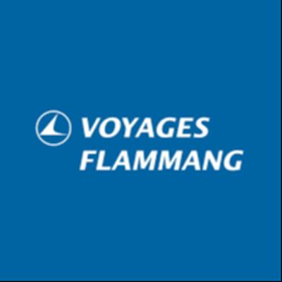 Les Blue Flammingos