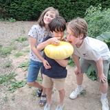 #teamPaulien