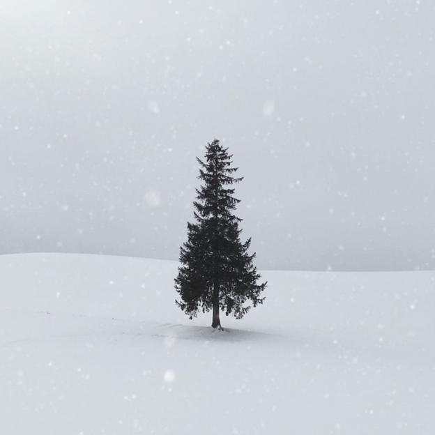 Un Noël qui fait sens