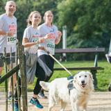 Asbeek running