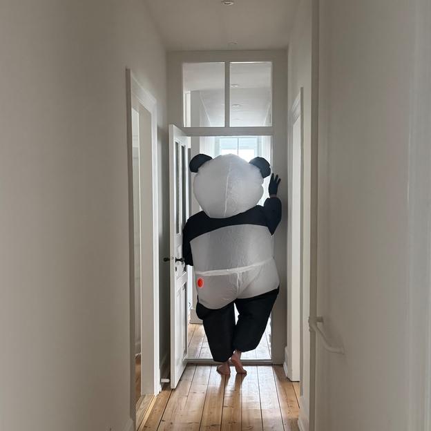 Panda daddy