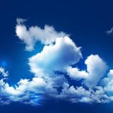Pour León, the only limit is the sky!
