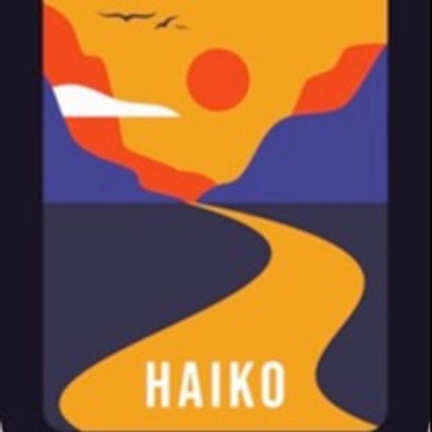 Team KRC - Hanne: voor Haiko en te veel anderen