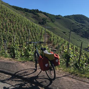 Vélo qui roule n’amasse pas mousse