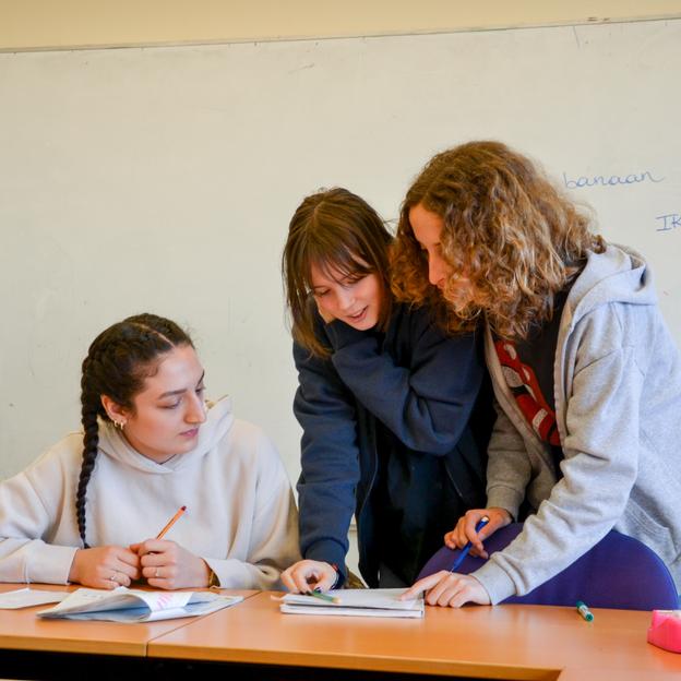 SCHOLA ULB Team