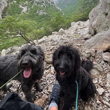 Walking for Good — Powered by Paws