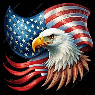 TEAM USA