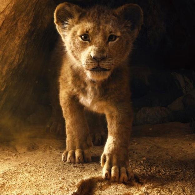 💛🦁 Julie