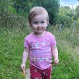 ELOISE