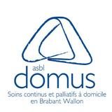 Team DOMUS pour Domus asbl